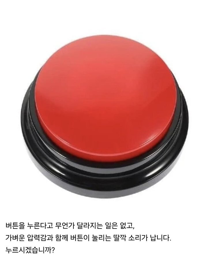 여기 버튼이 하나 있습니다_1.jpg