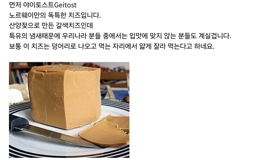 어떻게 치즈 이름이 토스트_5.jpg