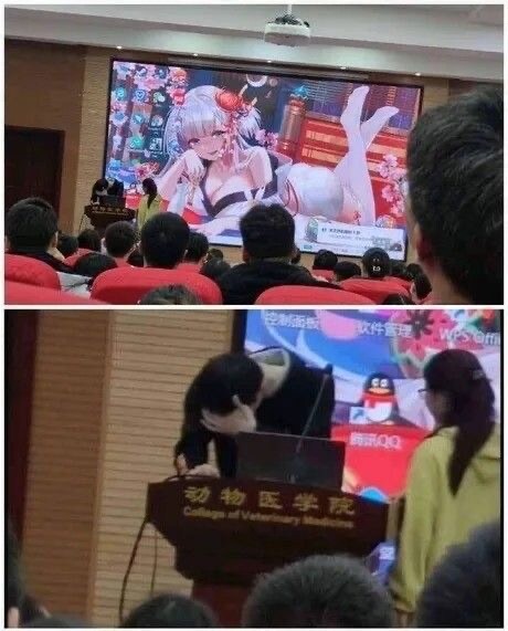셀프 고로시 하는 방법.jpg_2.jpg