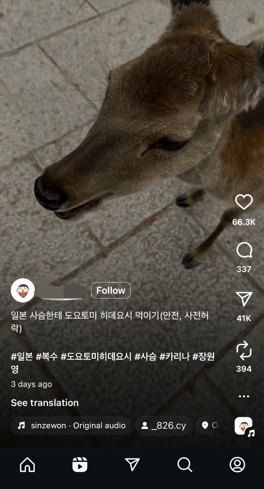 일본 가서 사슴한테 도요토미 히데요시 그려진 종이 먹인 한국인_1.jpg