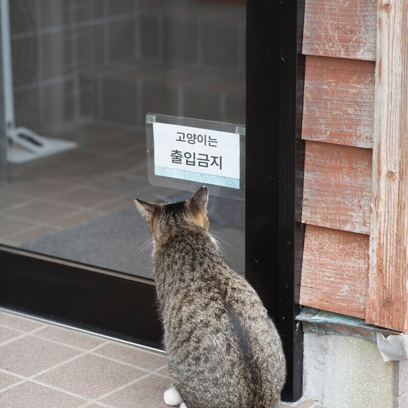 대한민국에서 대놓고 만연하고 있는 차별_1.jpg