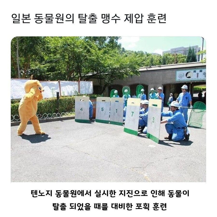 일본 동물원의 맹수 제압 훈련_1.jpg