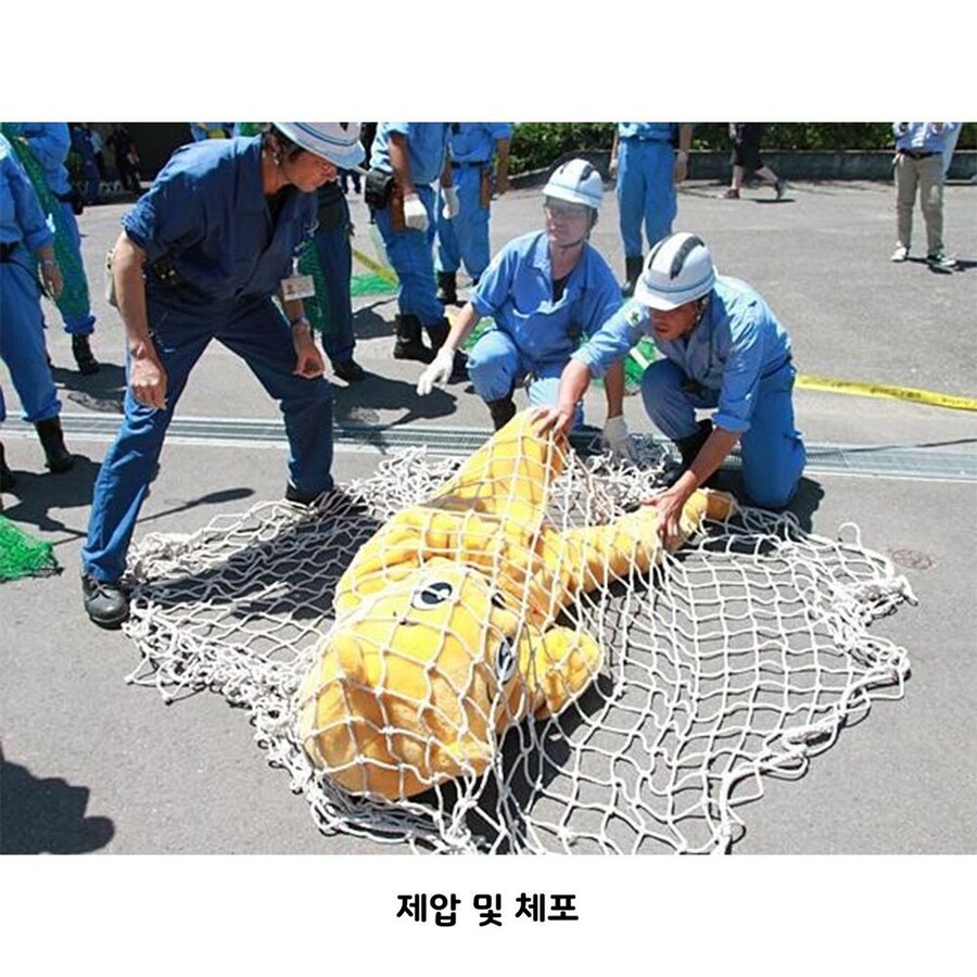일본 동물원의 맹수 제압 훈련_3.jpg