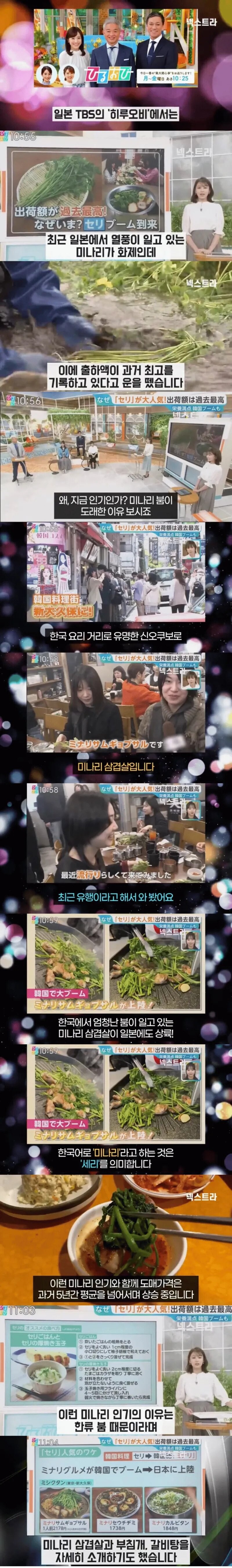 일본에서 미나리 열풍이 부는 이유_1.jpg