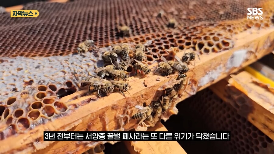 함부로 응애응애 거리면 안되는 이유._1.png