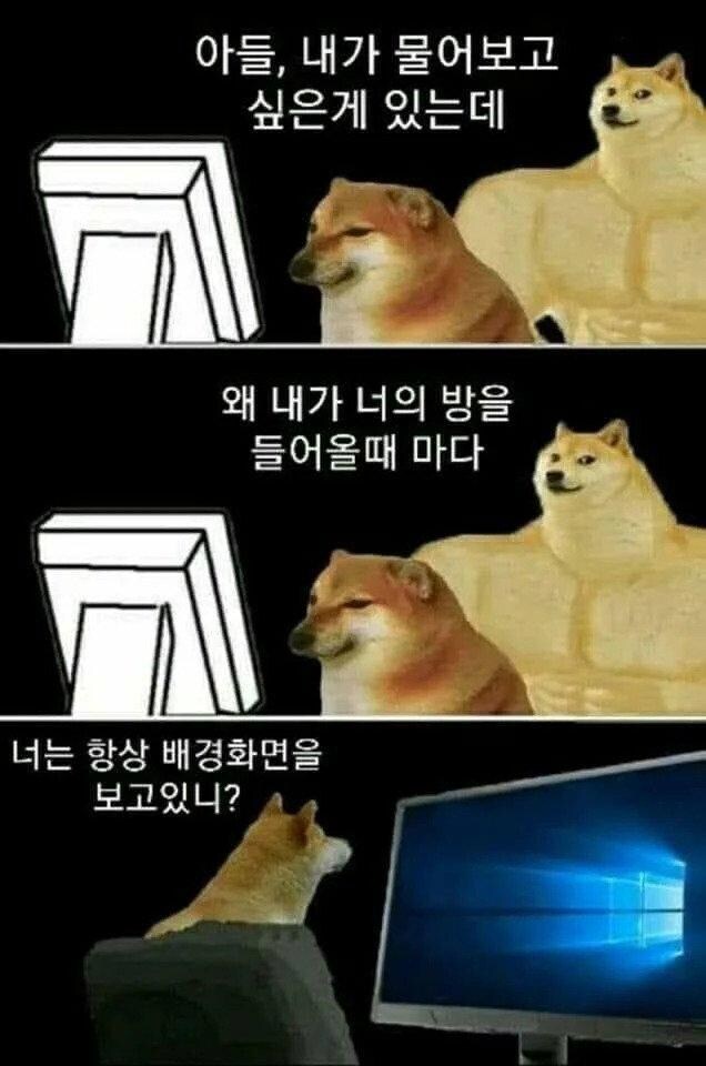 엄마가 아들 방에 오면 궁금한 점_1.png