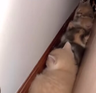 여자혼자 자취할때 은근히 조심해야 하는거_2.png