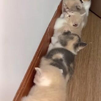 여자혼자 자취할때 은근히 조심해야 하는거_3.png