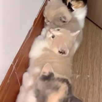 여자혼자 자취할때 은근히 조심해야 하는거_4.png