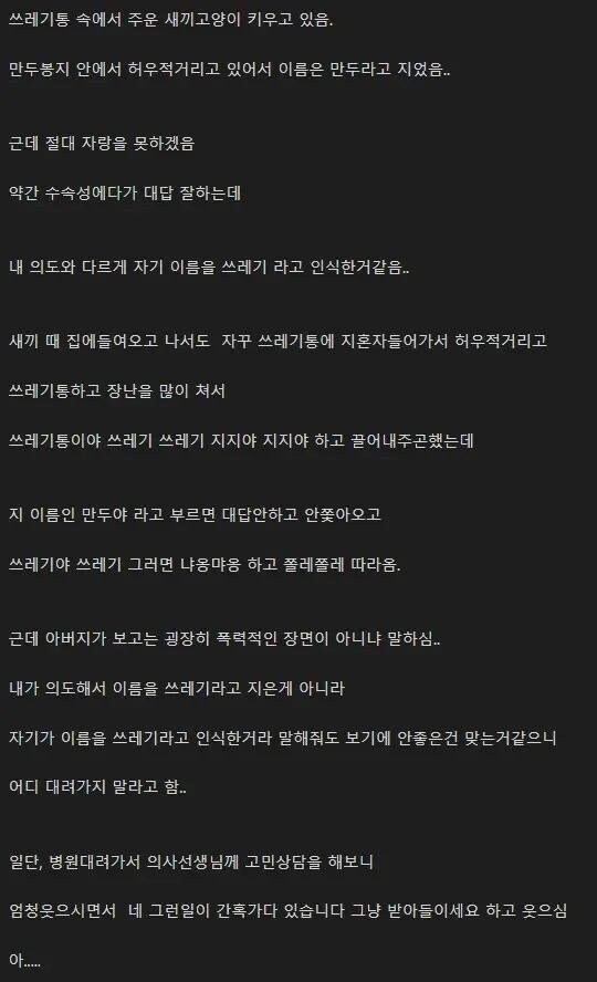 반려동물을 쓰레기라고 부르는 사람_1.jpg