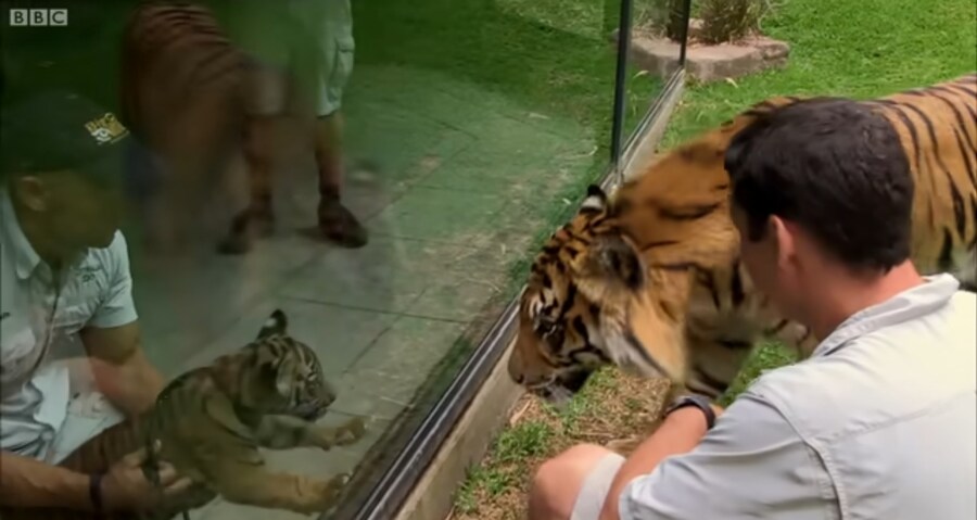 감옥에 있는 친아버지를 면회온 어린 자식_1.jpg