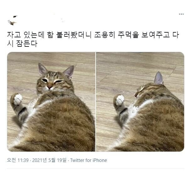이제 알겠나, 힘의 차이를?_1.jpg