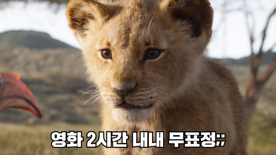 디즈니 실사화는 진짜 말그대로 실사화만 하면 된다는 이유_1.jpg