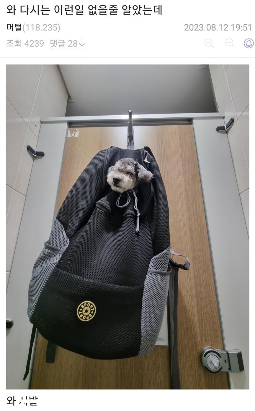 화장실이 급했던 견주_2.jpg