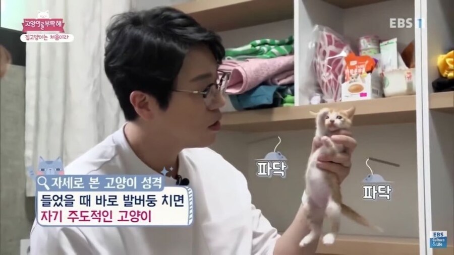 자기주도적인 고앵이_1.jpg