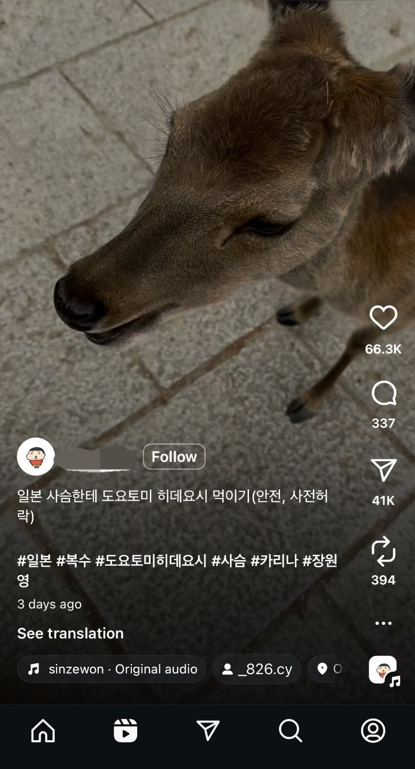 일본가서 사슴한테 종이 먹이는 한국인_1.jpg