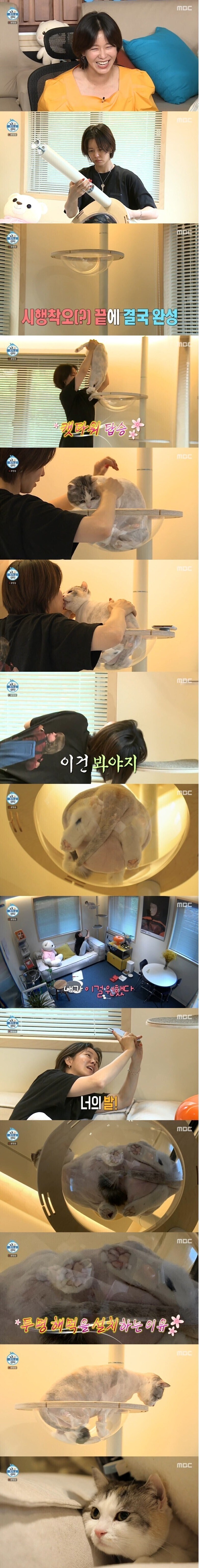 투명 캣타워의 장점.jpg_1.jpg