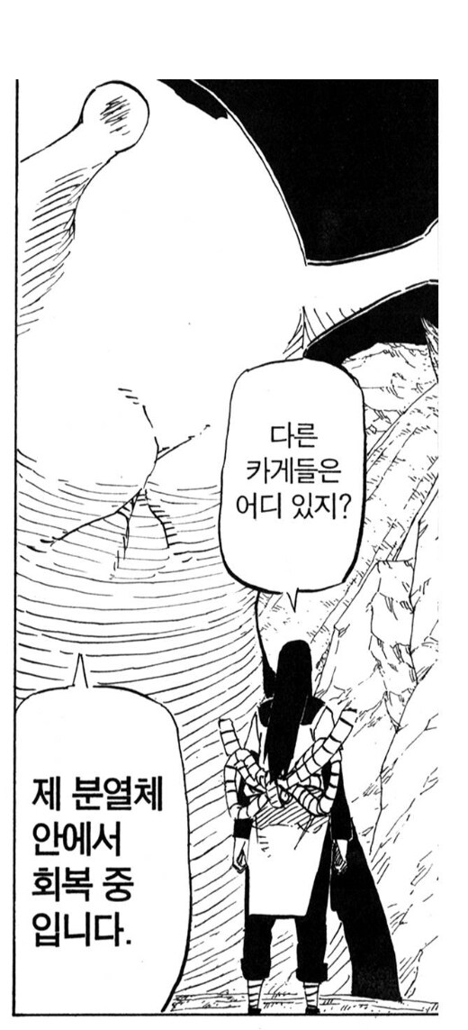 나루토 혈통의 중요성을 보여주는 장면_6.jpg