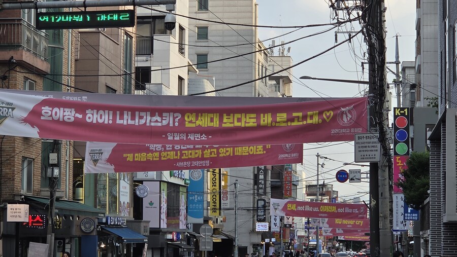 고려대 식당가에 걸려있는 현수막들.jpg_1.jpg