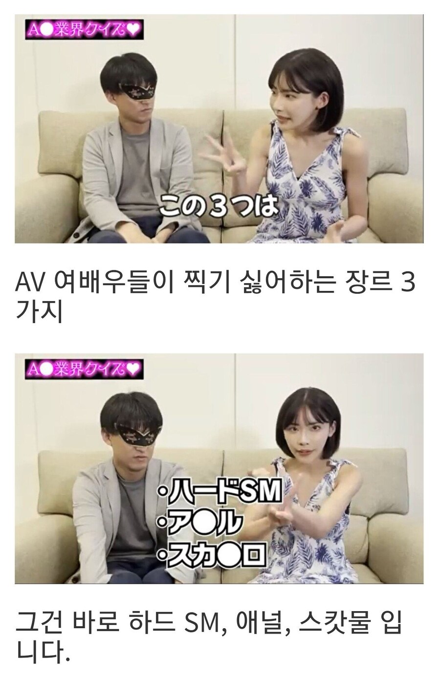 AV배우가 말하는 AV배우들이 찍기 싫어하는 3대 장르_4.jpg