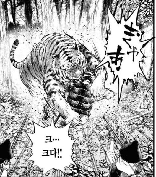 애국 고양이와 나쁜 고양이의 차이점_1.jpg