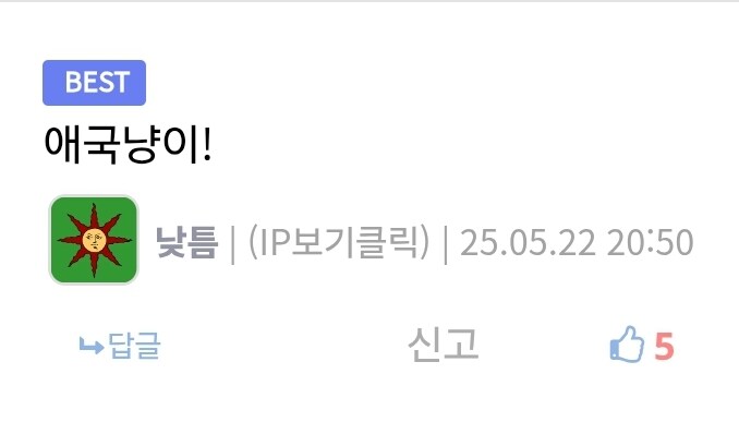 애국 고양이와 나쁜 고양이의 차이점_3.jpg