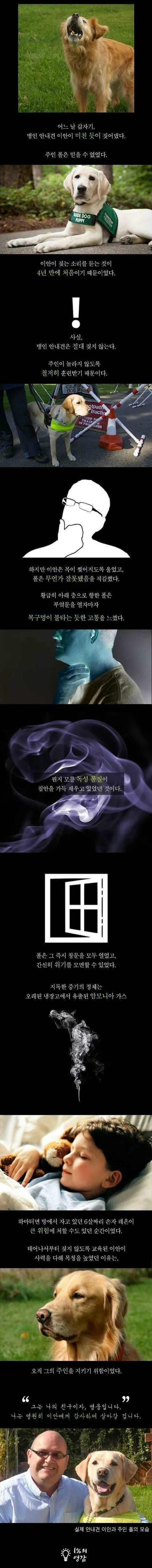 처음으로 짖은 맹인 안내견.jpg_1.png