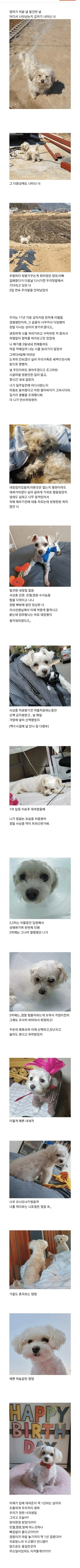 부모님 텃밭에서 시작된 인연_1.jpg