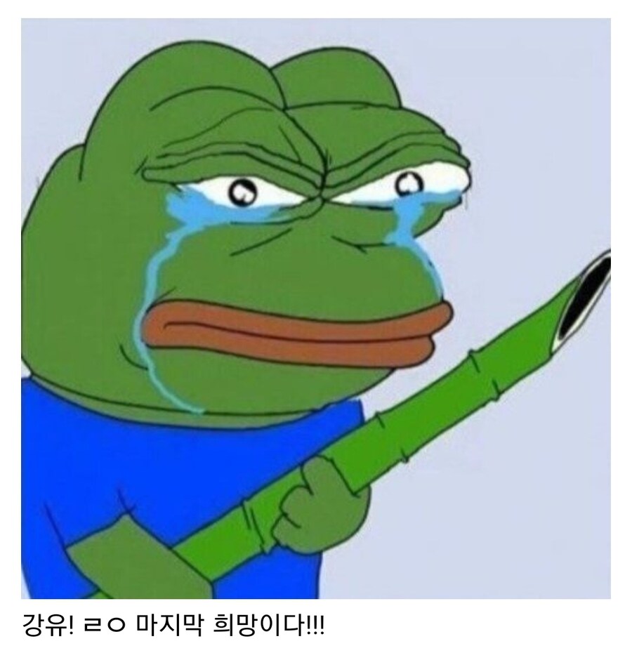 삼국지 후반부가 ㅈ같은 이유_8.jpg