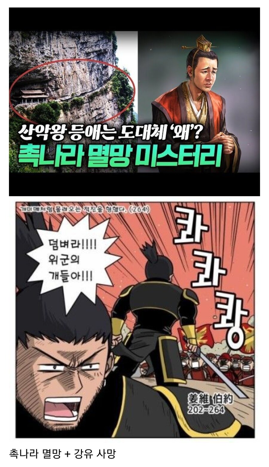 삼국지 후반부가 ㅈ같은 이유_9.jpg