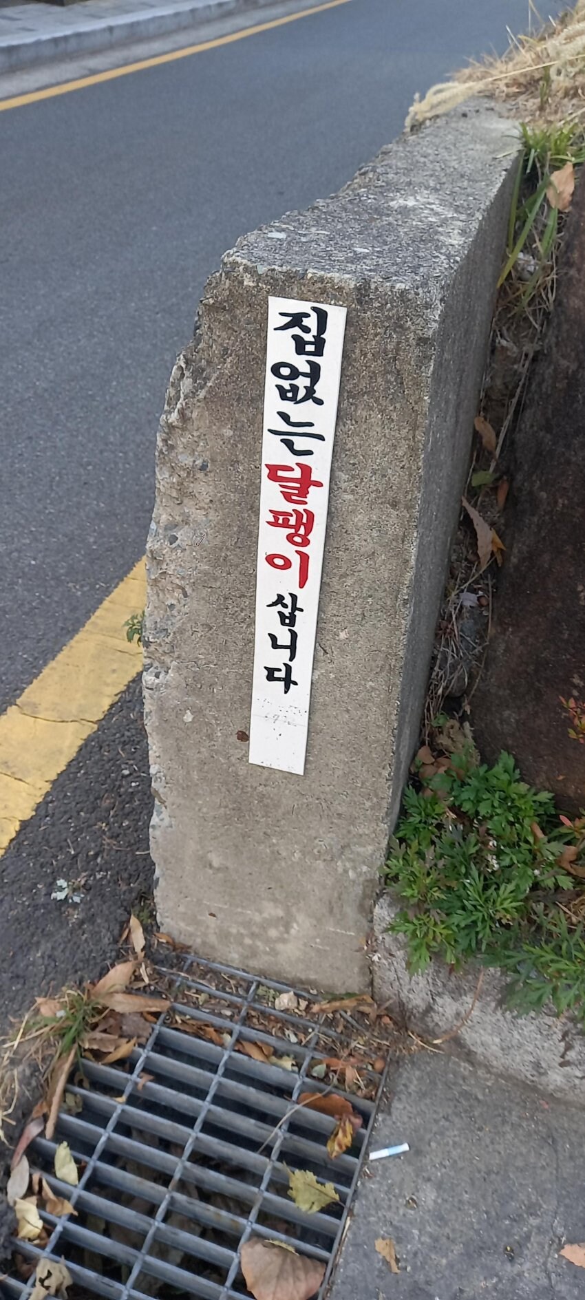 집없는 달팽이 삽니다_6.jpg