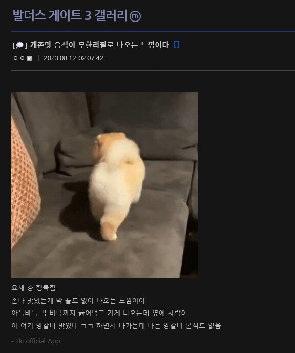 특정 게임들에서 숨겨진 요소를 양갈비라고 호칭하게된 이유_1.png