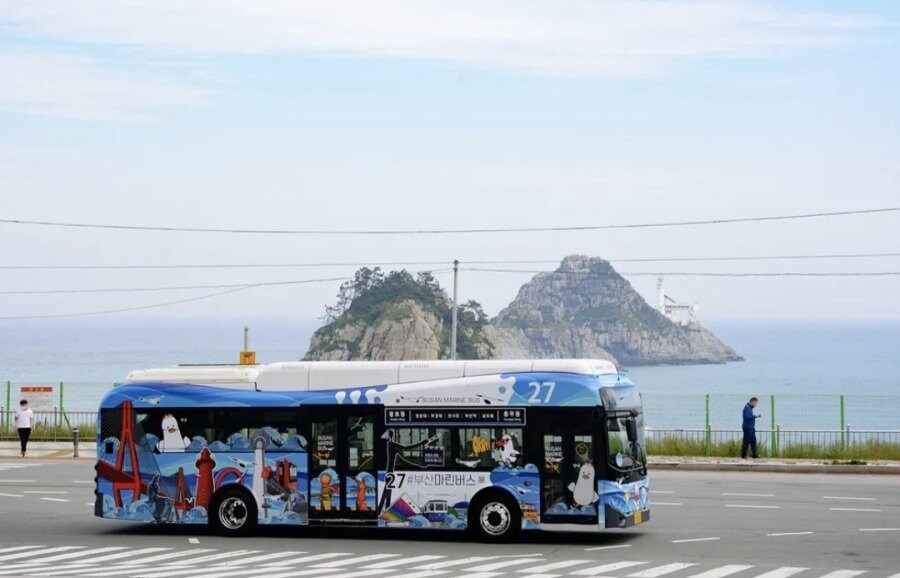 호불호 갈리는 부산 버스 디자인_3.jpg