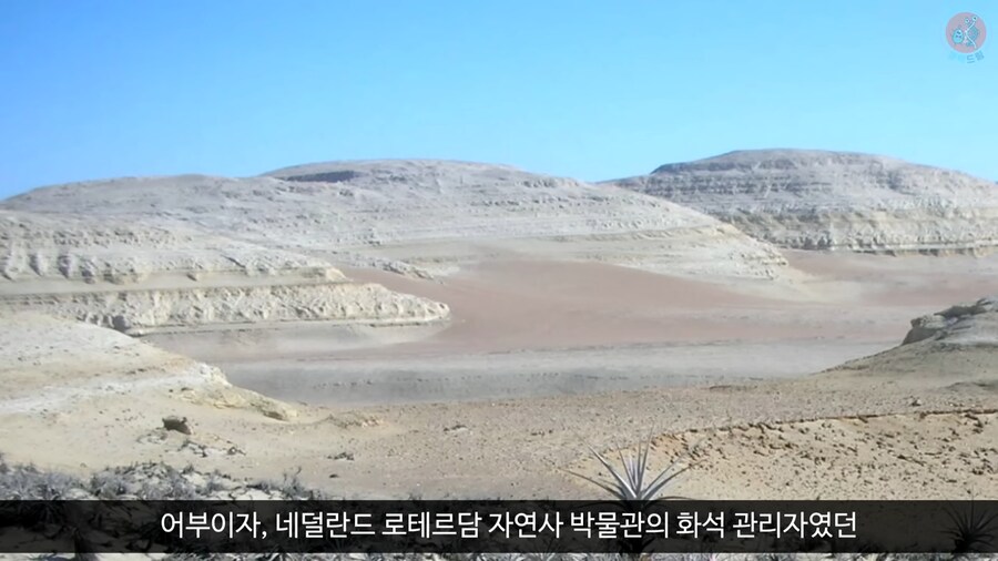 이 모습은 마치 성경속 바다괴물 레비아탄 같구나!_1.png
