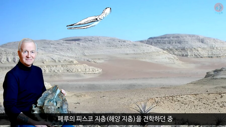 이 모습은 마치 성경속 바다괴물 레비아탄 같구나!_3.png