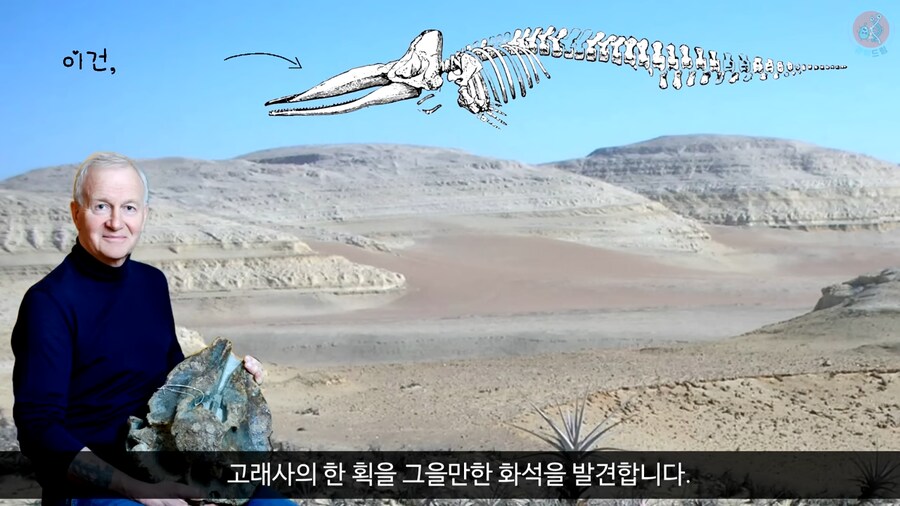 이 모습은 마치 성경속 바다괴물 레비아탄 같구나!_4.png