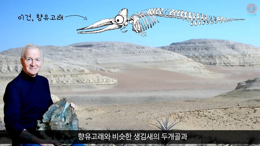 이 모습은 마치 성경속 바다괴물 레비아탄 같구나!_5.png