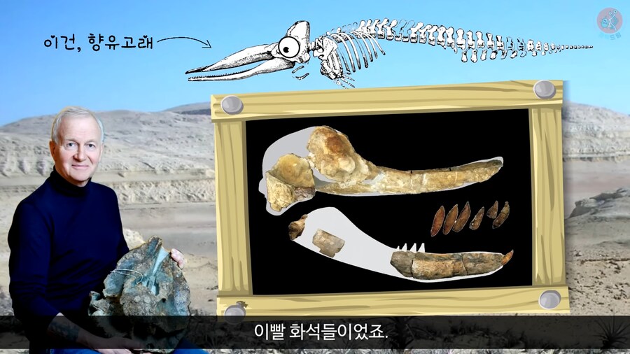 이 모습은 마치 성경속 바다괴물 레비아탄 같구나!_6.png