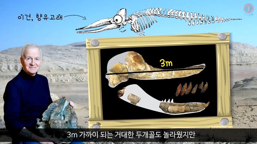 이 모습은 마치 성경속 바다괴물 레비아탄 같구나!_7.png