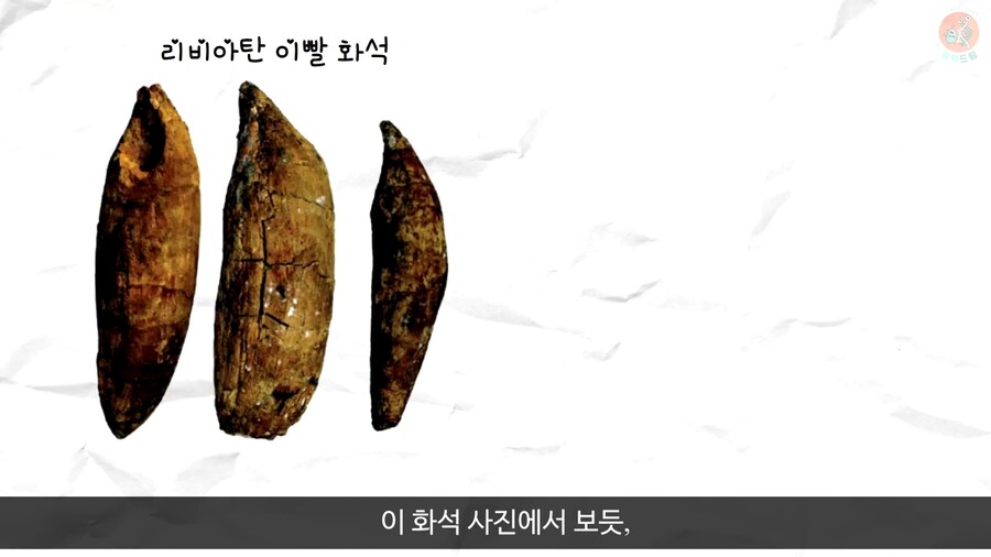 이 모습은 마치 성경속 바다괴물 레비아탄 같구나!_10.png