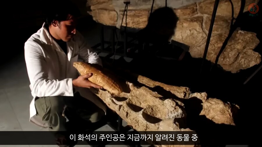 이 모습은 마치 성경속 바다괴물 레비아탄 같구나!_14.png