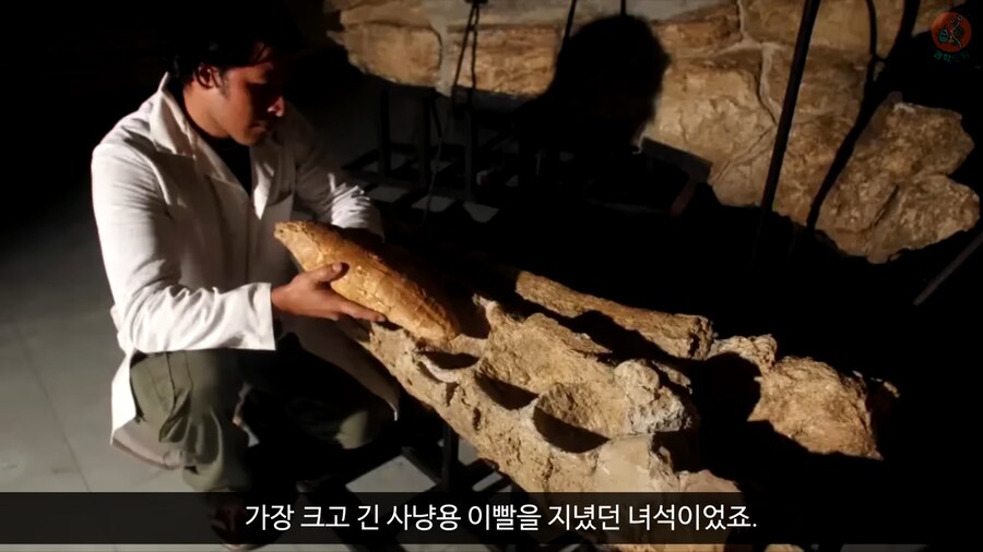 이 모습은 마치 성경속 바다괴물 레비아탄 같구나!_15.png