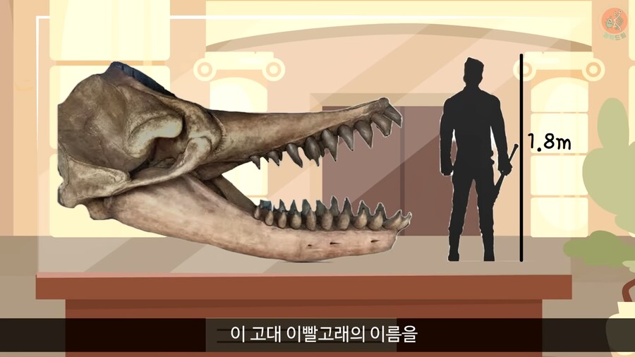 이 모습은 마치 성경속 바다괴물 레비아탄 같구나!_17.png