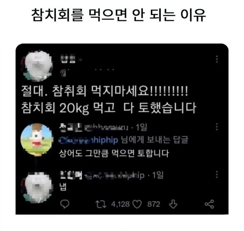 참치회를 먹으면 안 되는 이유_1.webp