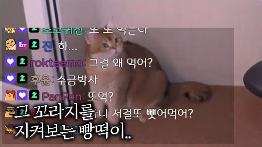 어우 인면수심이라뇨, 드셔 보고 이야기를 해._2.jpg