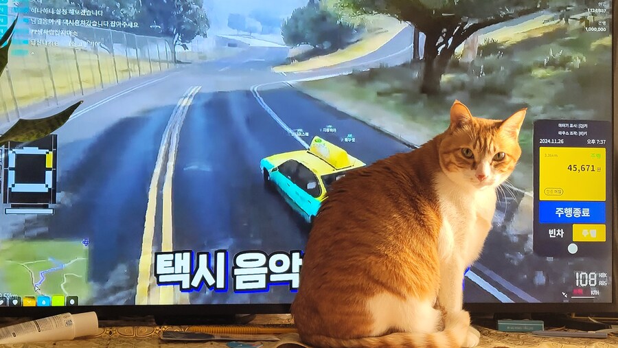 꽉꽉 눌러담음_3.jpg
