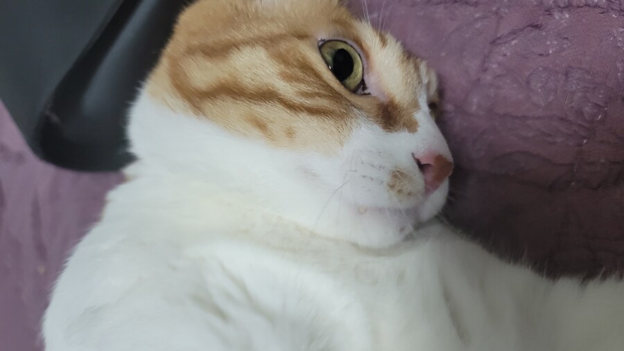 꽉꽉 눌러담음_11.jpg