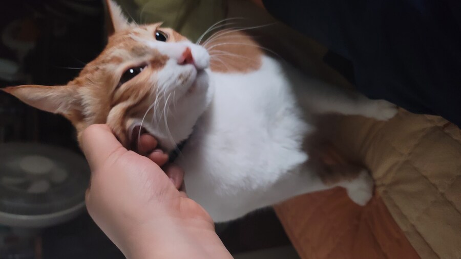 꽉꽉 눌러담음_18.jpg