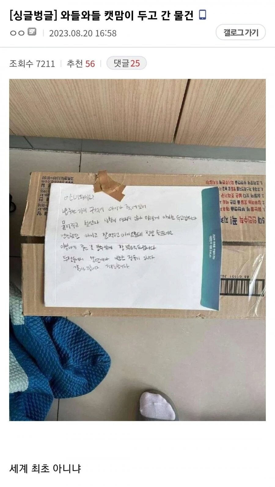 어느 캣맘이 두고간.jpg_1.png