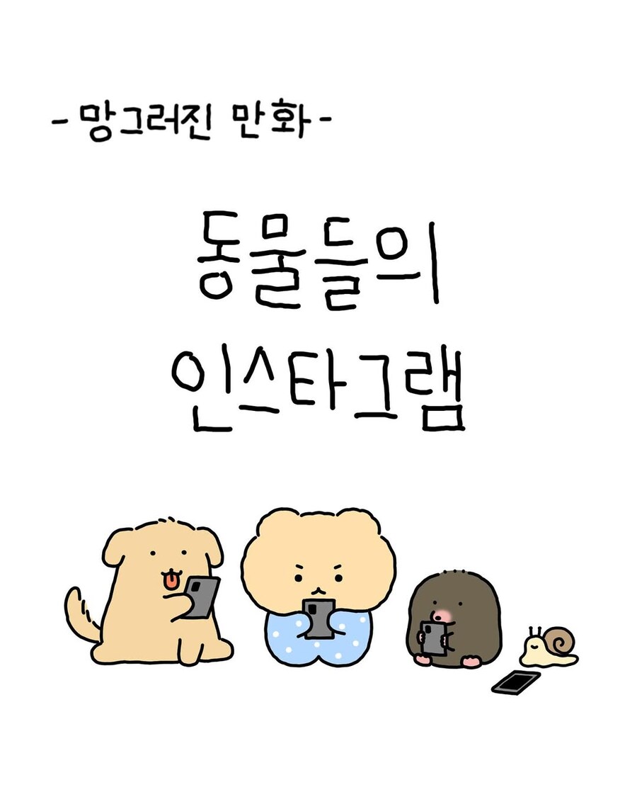 동물들의 인스타그램.jpg_2.jpg